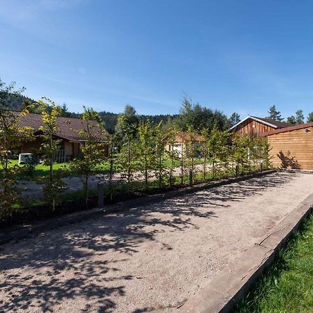 Chalet Du Bien-Etre 15P. Piscine,Spa, Hammam,Petanque,Basket Жерарме Экстерьер фото